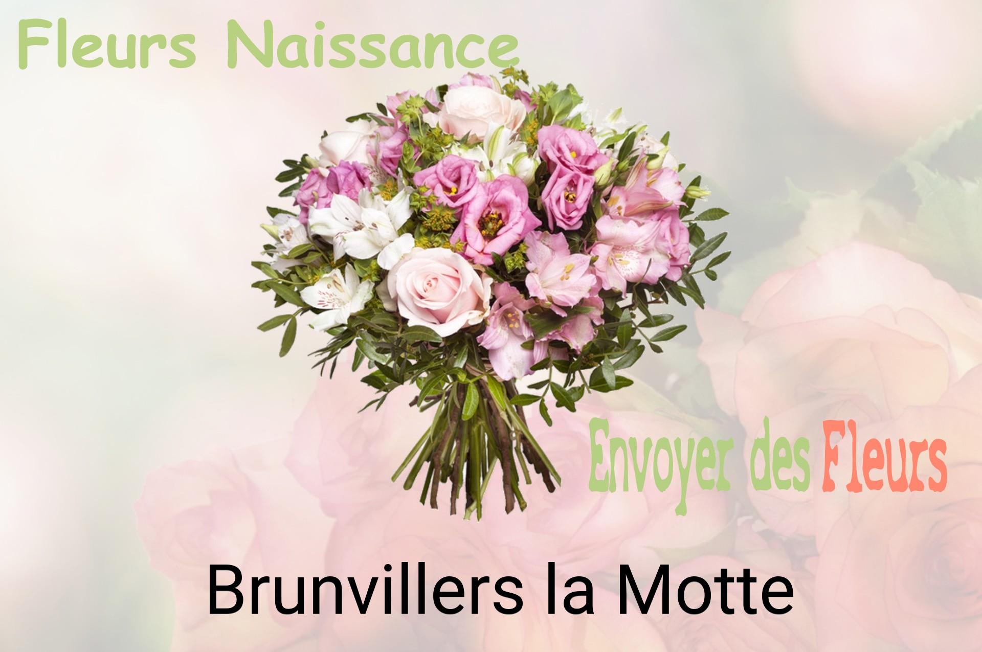 Bouquet de fleurs de naissance livré à Brunvillers-la-Motte